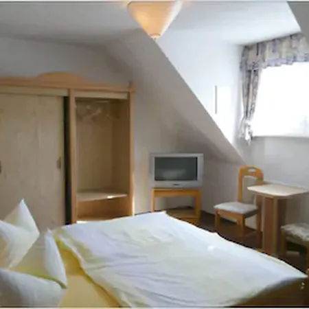 Hotel Garden 3*