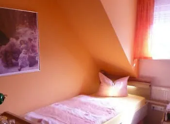 Garden Hotel 3*
